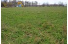 Property photo 27 - 80 Acres & Home - Property Offered in 4 Tracts from 2.3 to 30.0 Acres